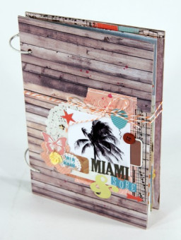 Mini-album "Miami 2012"