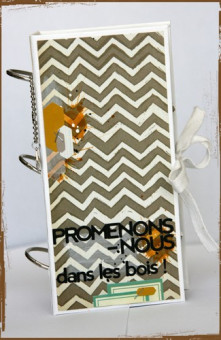 Mini-album "Promenons-Nous"