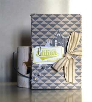 Mini Album "Edition Limitée"