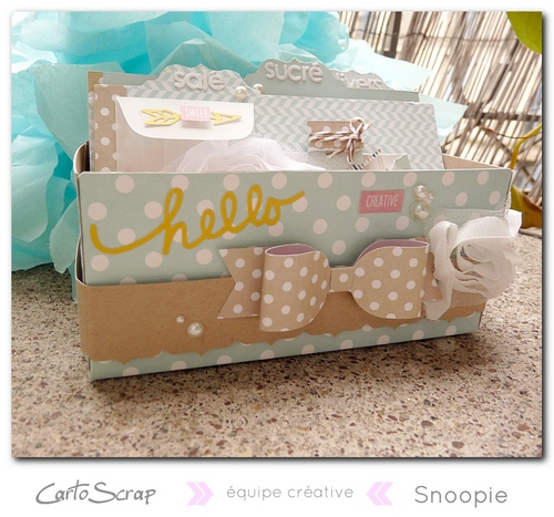 boite_recettes_mars14_snoopie.jpg