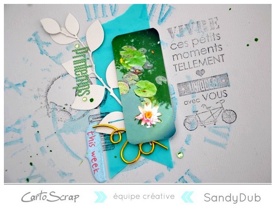 printemps__nenuphar_sandydub_cartoscrap_detail.jpg