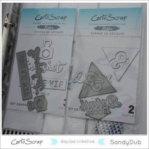 classeur_sandydub_dies.jpg classeur_sandydub_dies.jpg